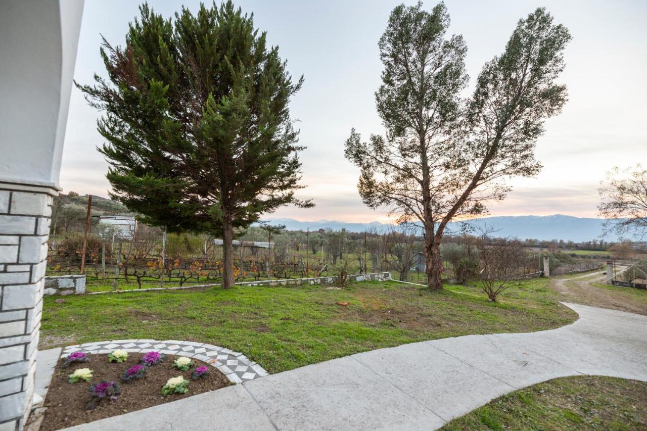 Τrικαλα - Μετεorα-Villa Toscana Tríkala Eksteriør bilde